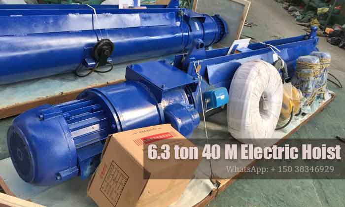 2 sets of 6.3 ton electric wire rope hoist for sale france