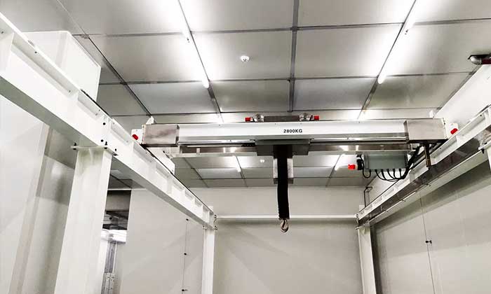 overhead crane for cleanroom