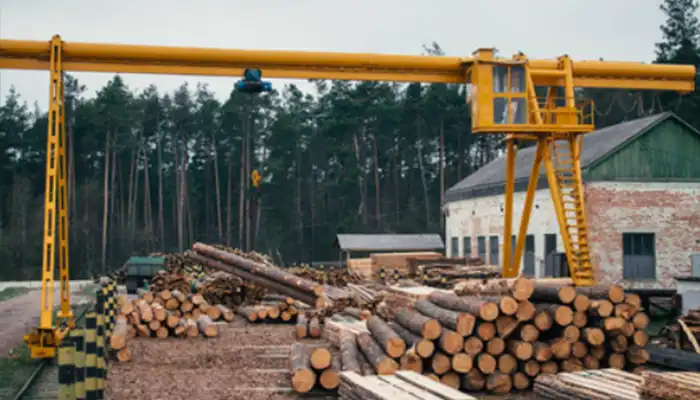 Gantry crane for log yard for efficient material handling 