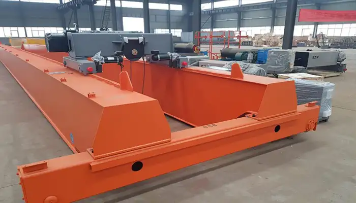 Double girder overhead crane customized for your specialized material handling for Wasterwater Treatment Plants