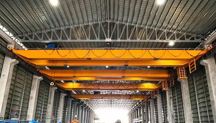 Customized bridge crane for your needs 